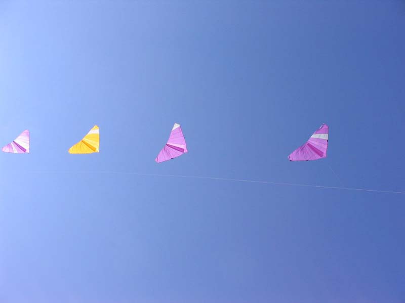 Berck_1248GC