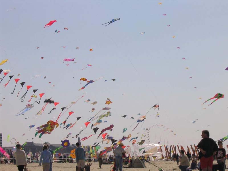 Berck_1264GC
