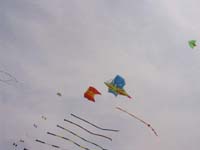 BateauEperonneFlow_1285GC