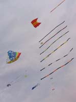 BateauFlowForm_1283GC