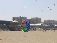 Berck_1249GC
