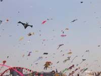 Berck_1263GC