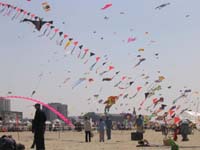 Berck_1265GC