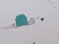 Berck_1289GC