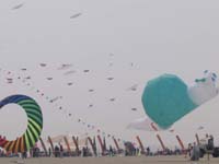 Berck_1290GC