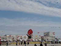 P4220021