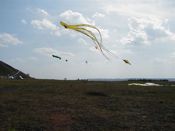 P8080050