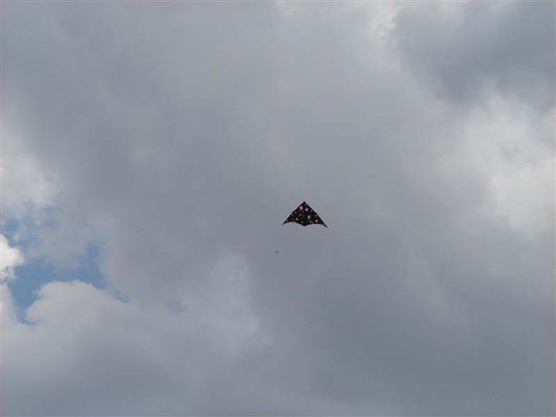 P5020019