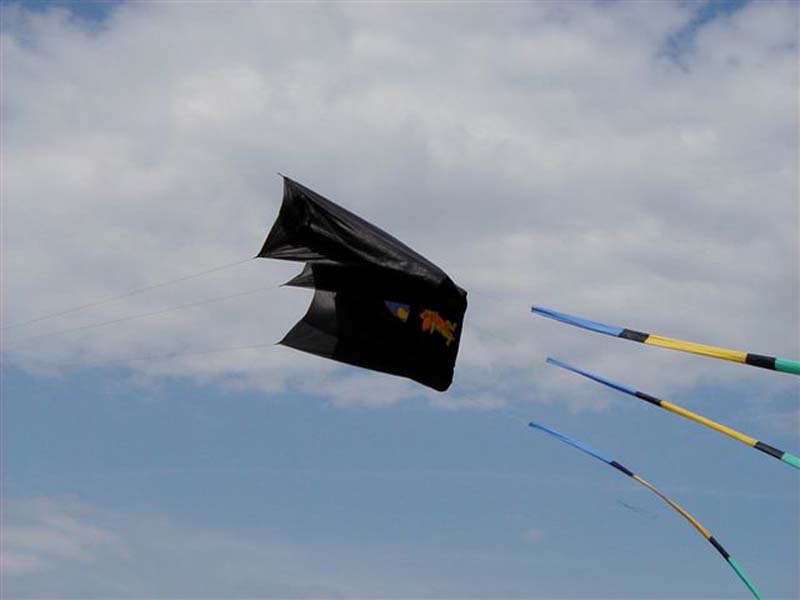P5020026