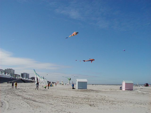 Festival de berck 2005P4090001