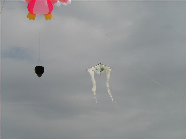Festival de berck 2005P4090021_