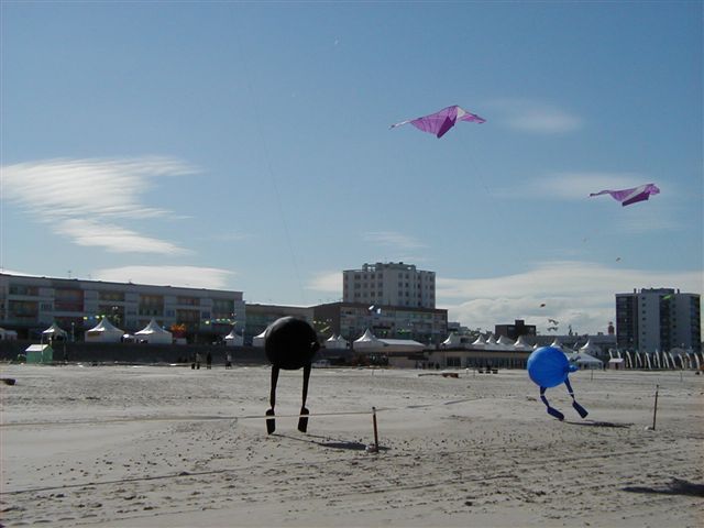 Festival de berck 2005P4090023