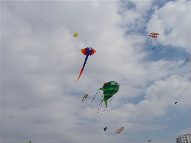 Festival de berck 2005P4090023_