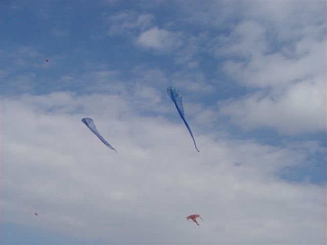 Festival de berck 2005P4090027_