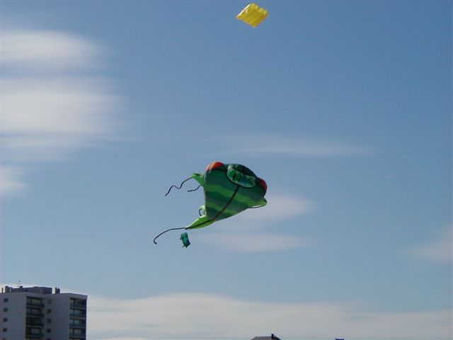 Festival de berck 2005P4090028