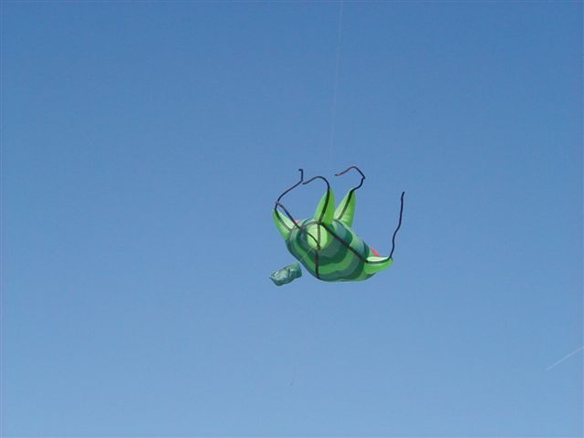 Festival de berck 2005P4090049