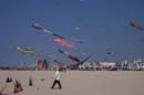 Festival de berck 2005_DCP_4243