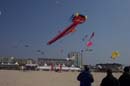 Festival de berck 2005_DCP_4249