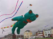 Cayeux_2005 - 06