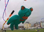 Cayeux_2005 - 08