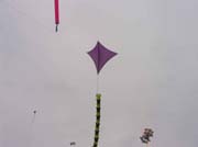 Cayeux_2005 - 14