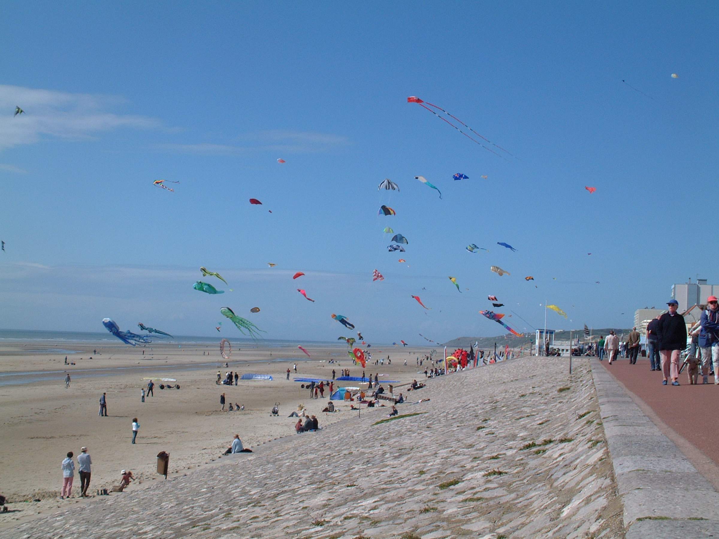 Conviviale_d_hardelot_2005_Cerf-Volant_DSCF0042
