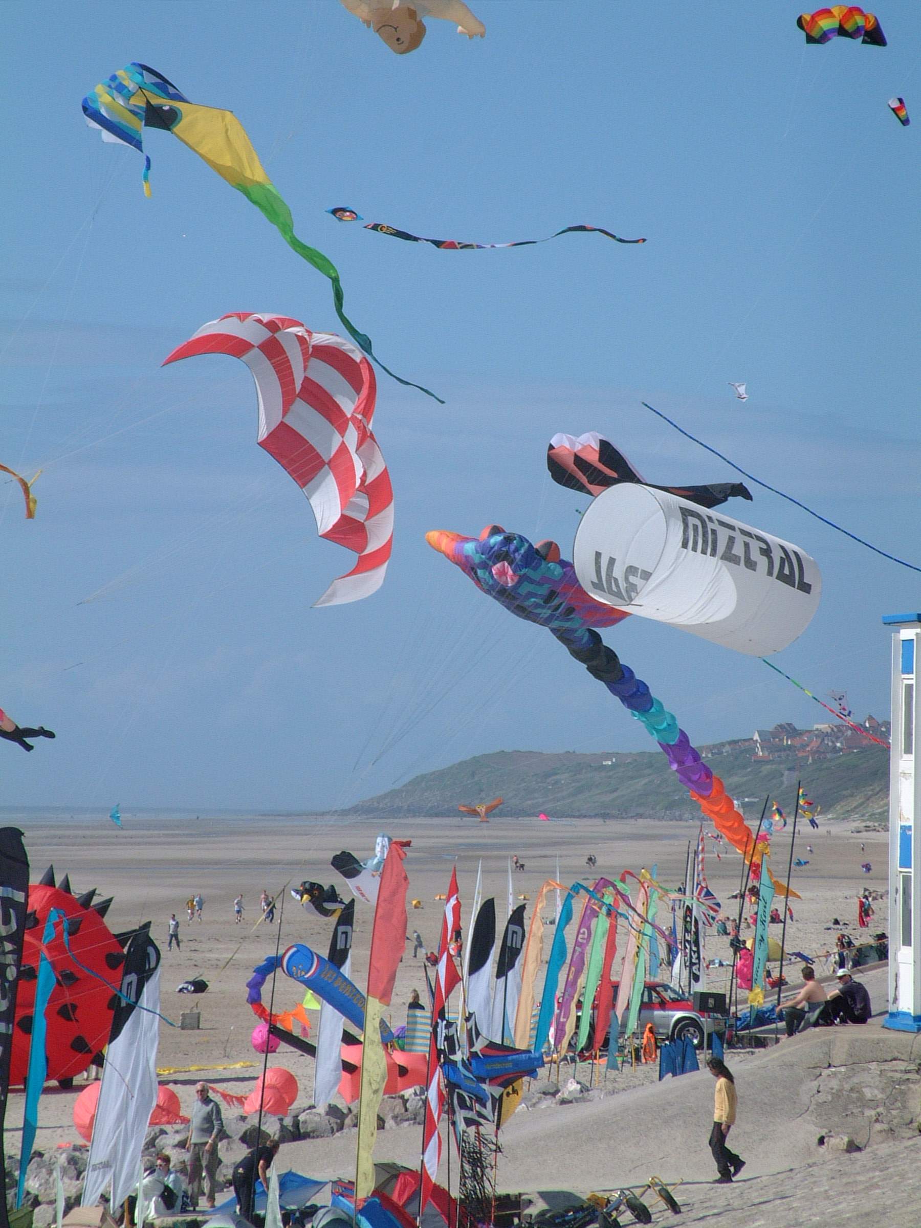 Conviviale_d_hardelot_2005_Cerf-Volant_DSCF0046