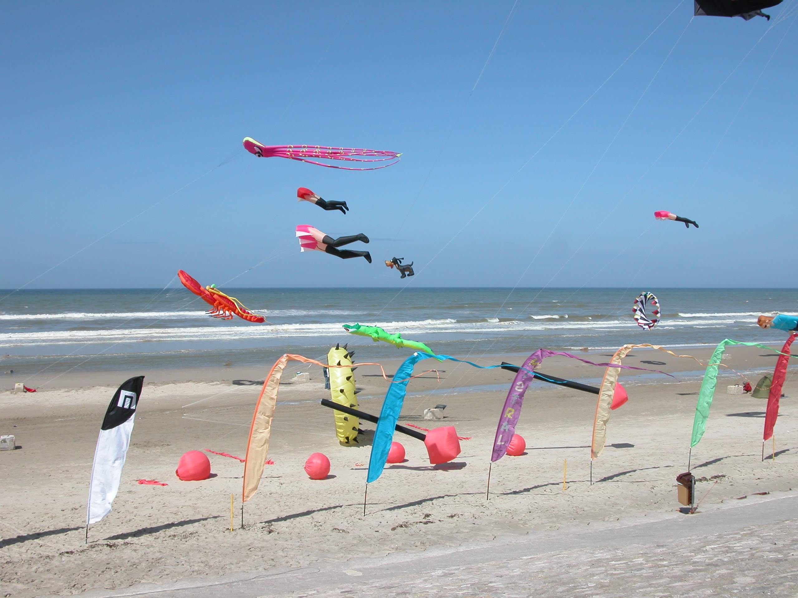 Conviviale_d_hardelot_2005_Cerf-Volant_DSCN3545