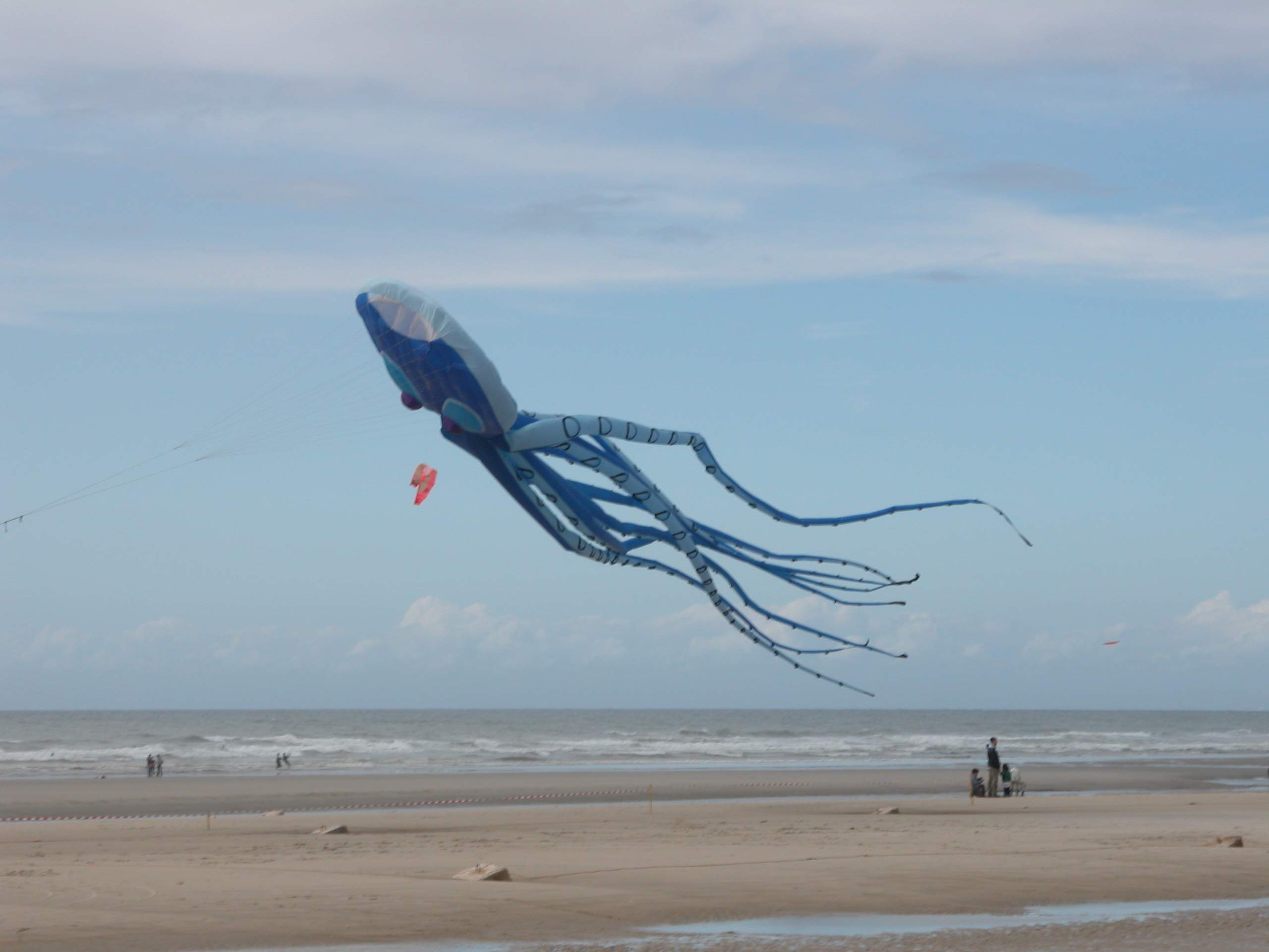 Conviviale_d_hardelot_2005_Cerf-Volant_DSCN3665