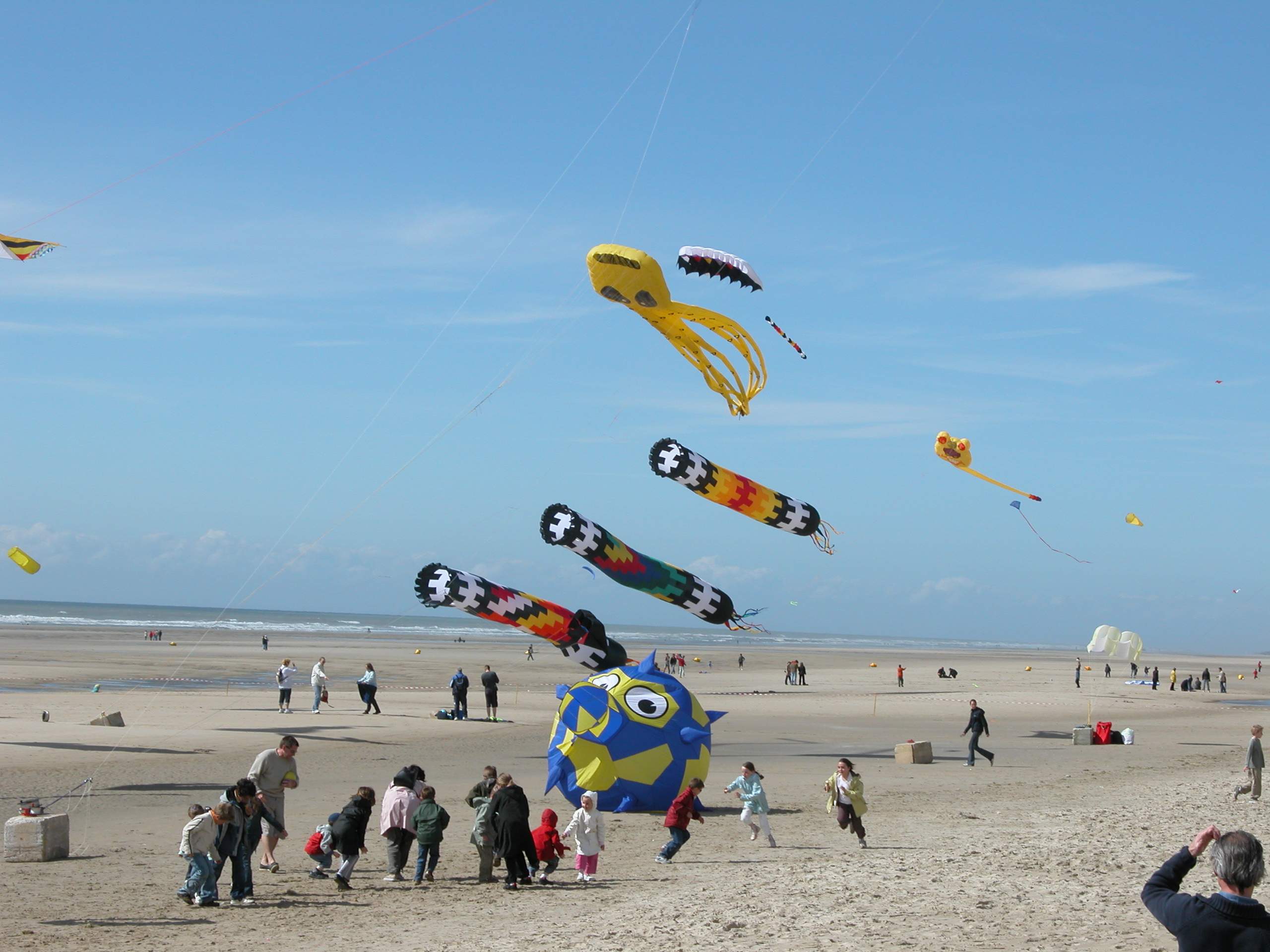 Conviviale_d_hardelot_2005_Cerf-Volant_DSCN3685