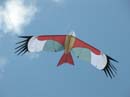 Conviviale_d_hardelot_2005_Cerf-Volant_DSCN3632