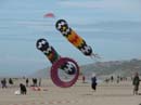 Conviviale_d_hardelot_2005_Cerf-Volant_DSCN3667