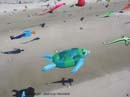 Photo 004