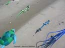 Photo 006