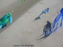 Photo 007