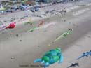 Photo 009