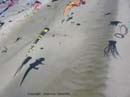 Photo 037