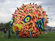 Img_1995a