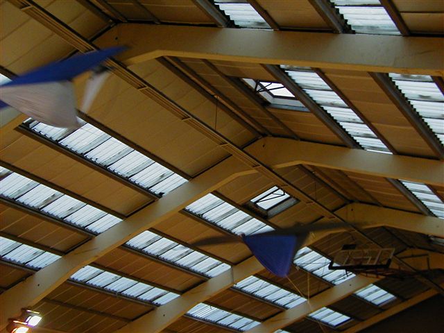 P1300006