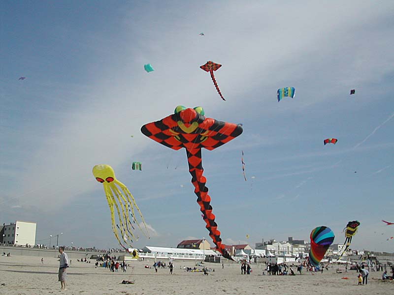 DSCN4127051705