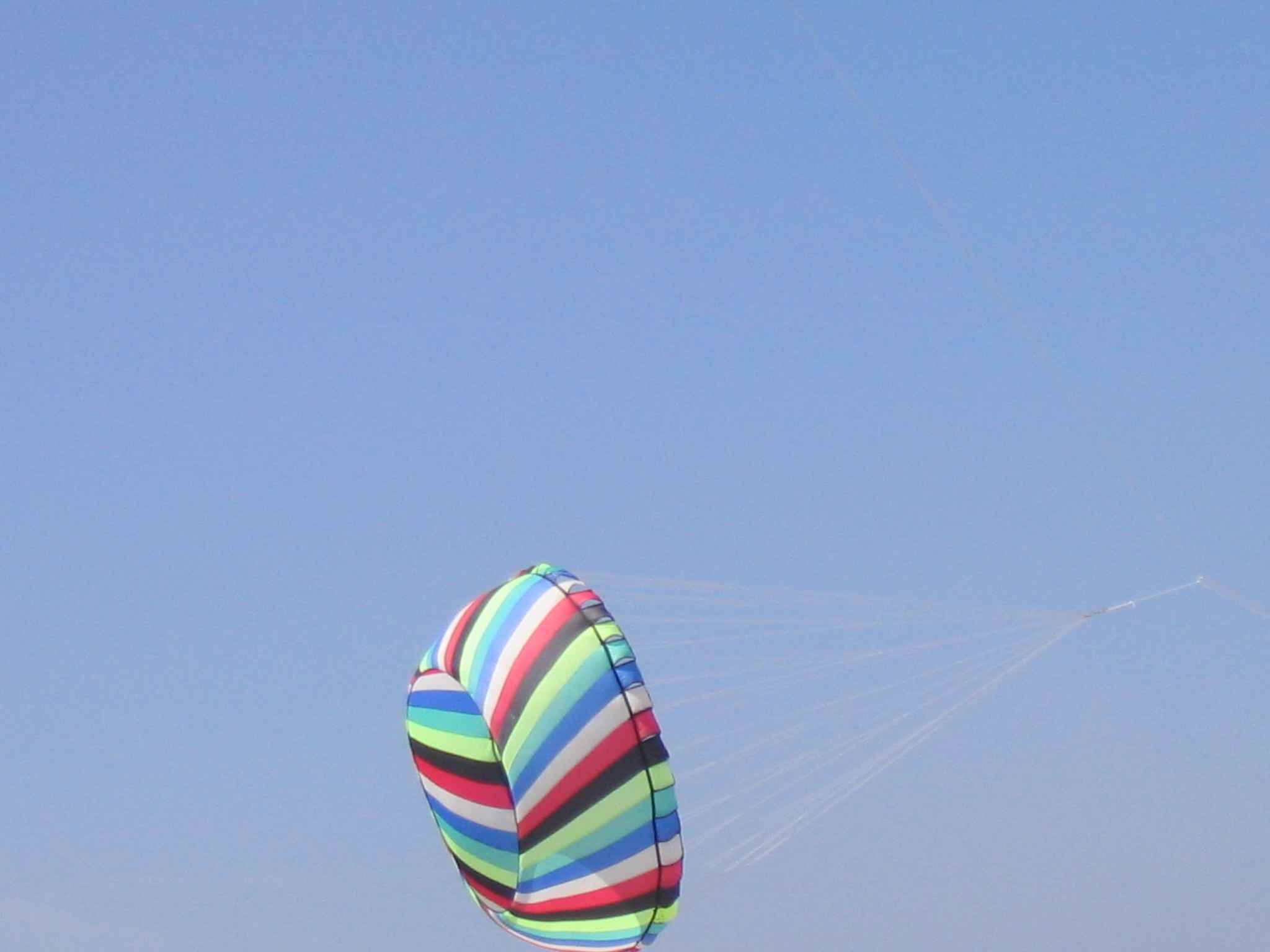 Stella_2005 - 17