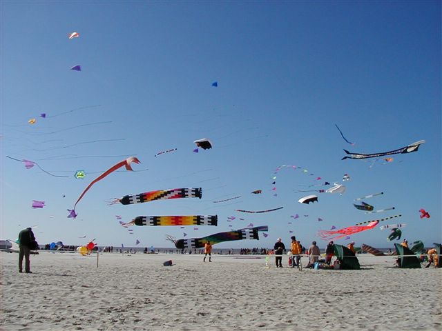 P4050002