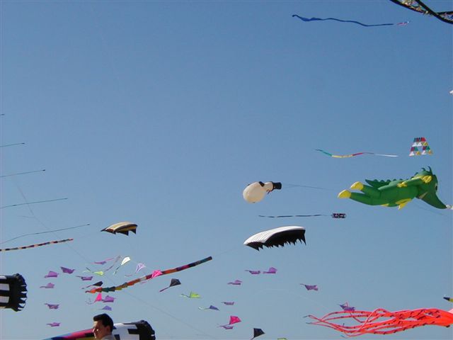 P4050005