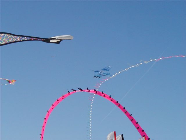 P4050006