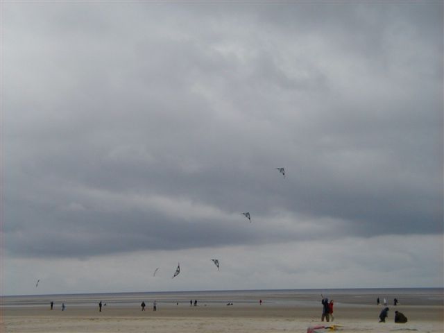 P4060029
