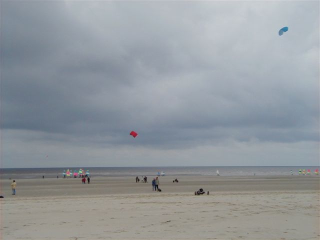 P4060031