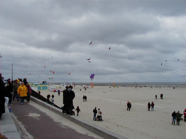 P4060049