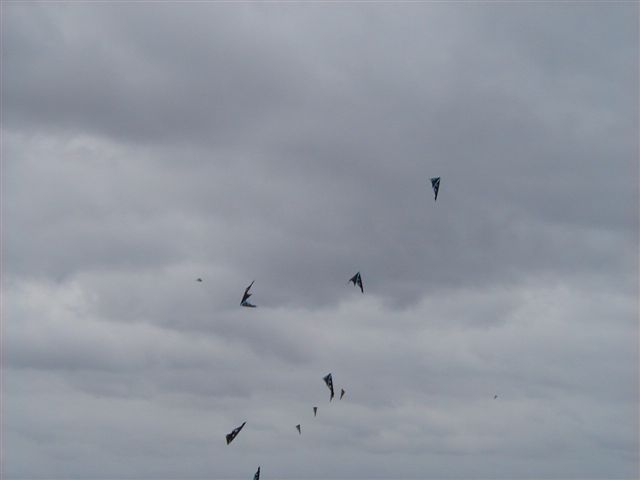 P4060050