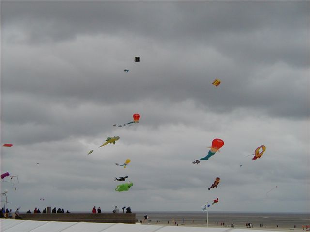 P4060054