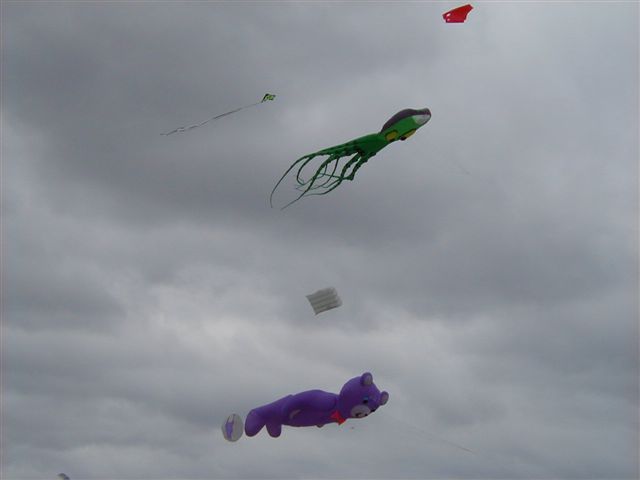 P4060055